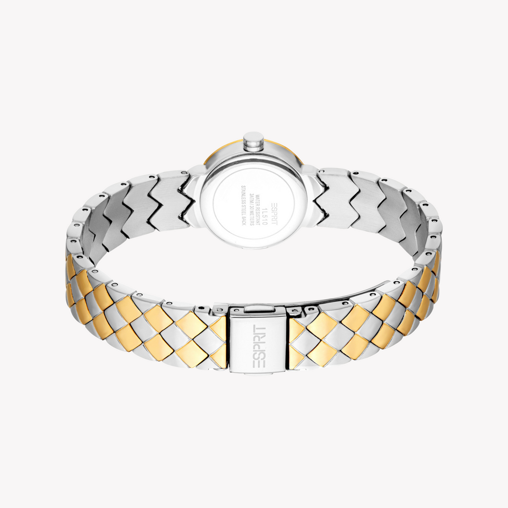 Esprit Women's Silver/Gold Stainless Watch | Es1l510m0055