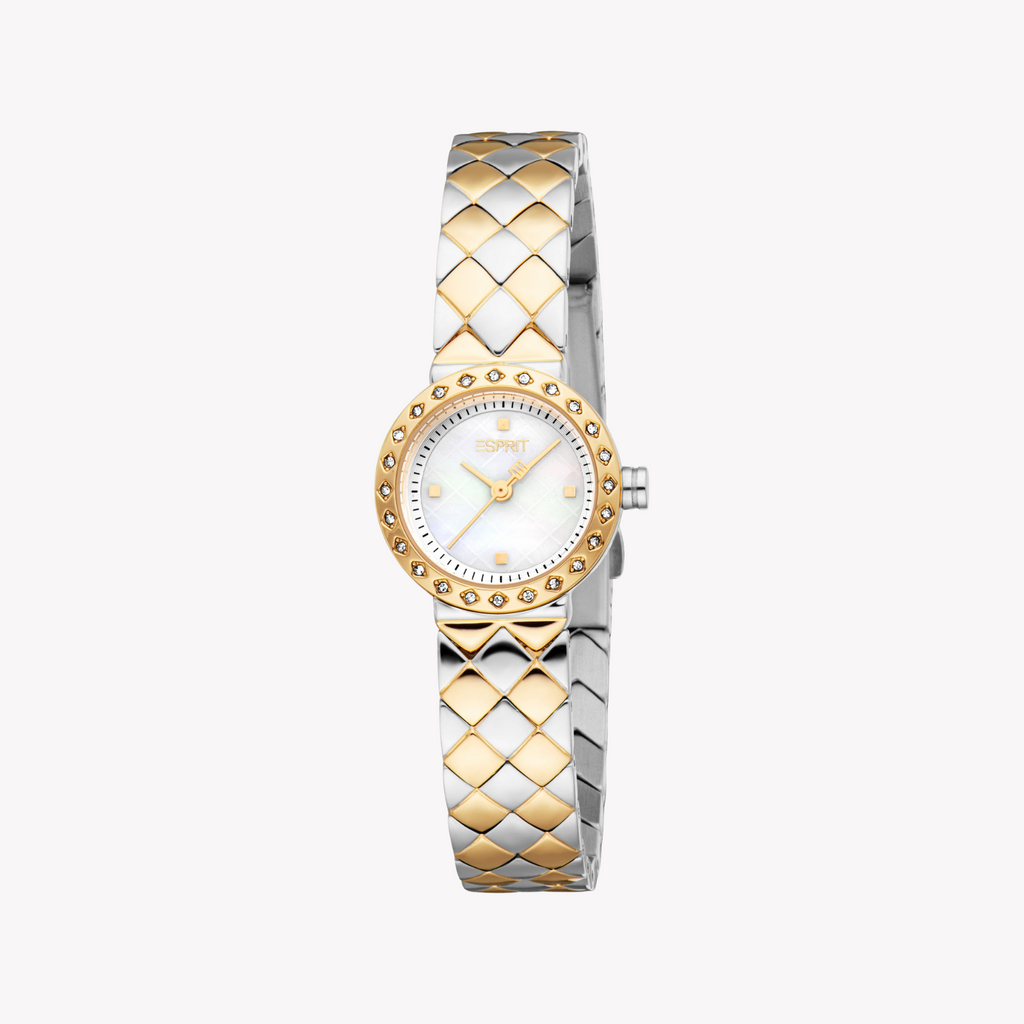 Esprit Women's Silver/Gold Stainless Watch | Es1l510m0055