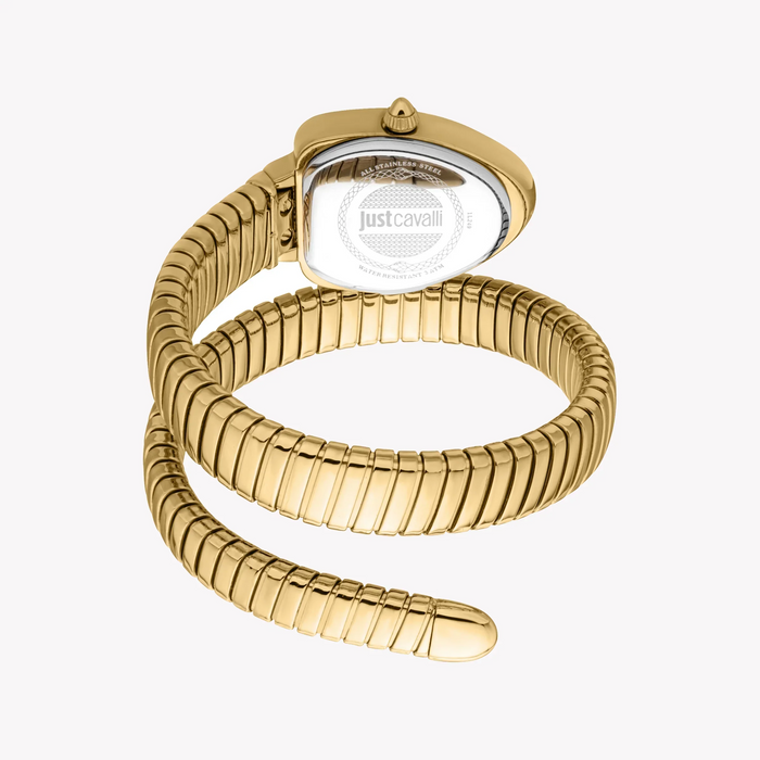 Just Cavalli Women's Gold Stainless Steel Watch, Green Dial | Jc1l249m0035