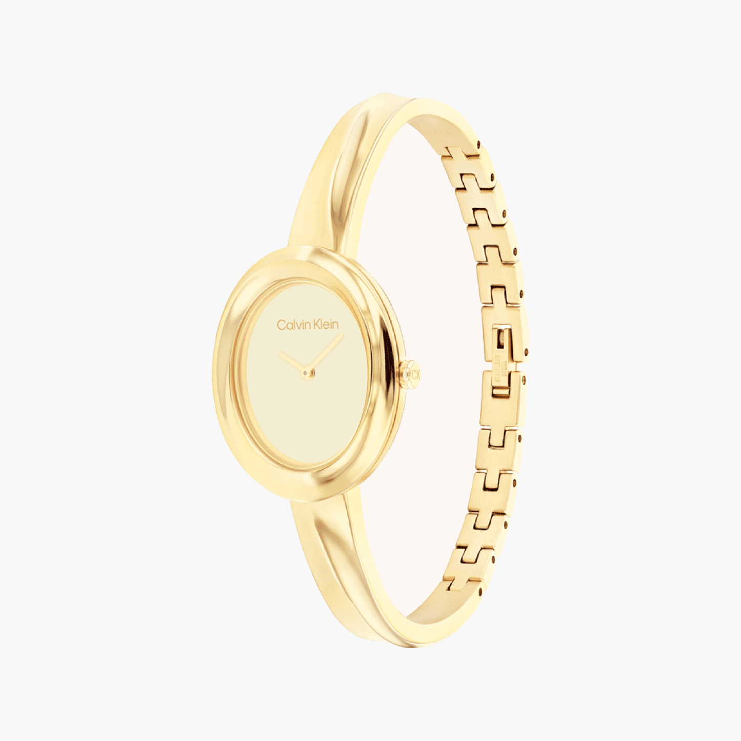 CK CALVIN KLEIN 25100056 Women's Watch