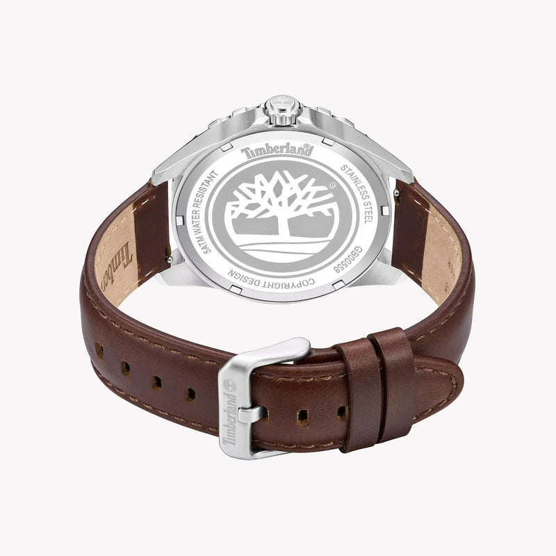 Timberland Men's Stainless/Brown, Dark Green | Tdwgb0055801 by i-watch
