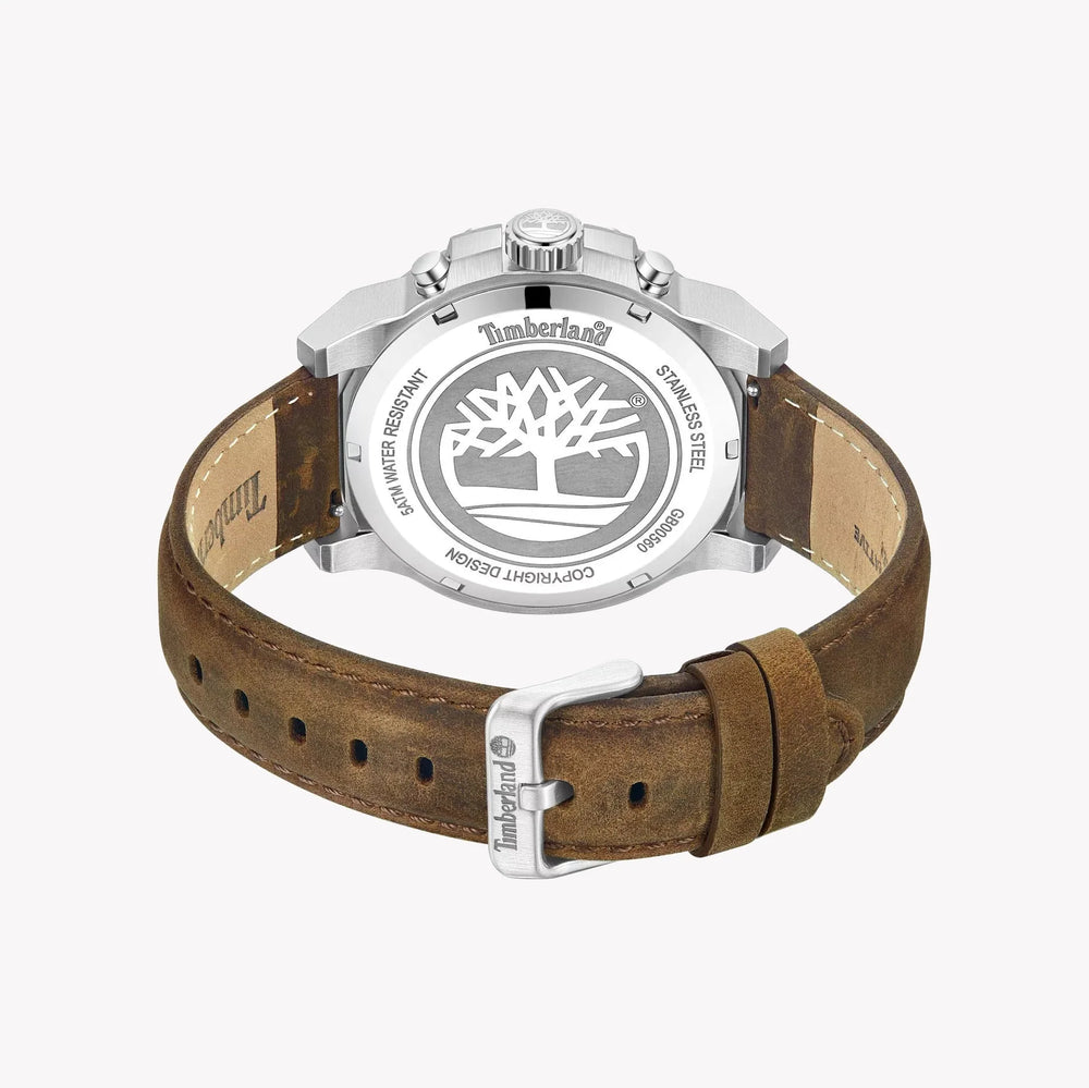 Timberland Men's Stainless Steel, Brown/Green | Tdwgb0056001 by i-watch