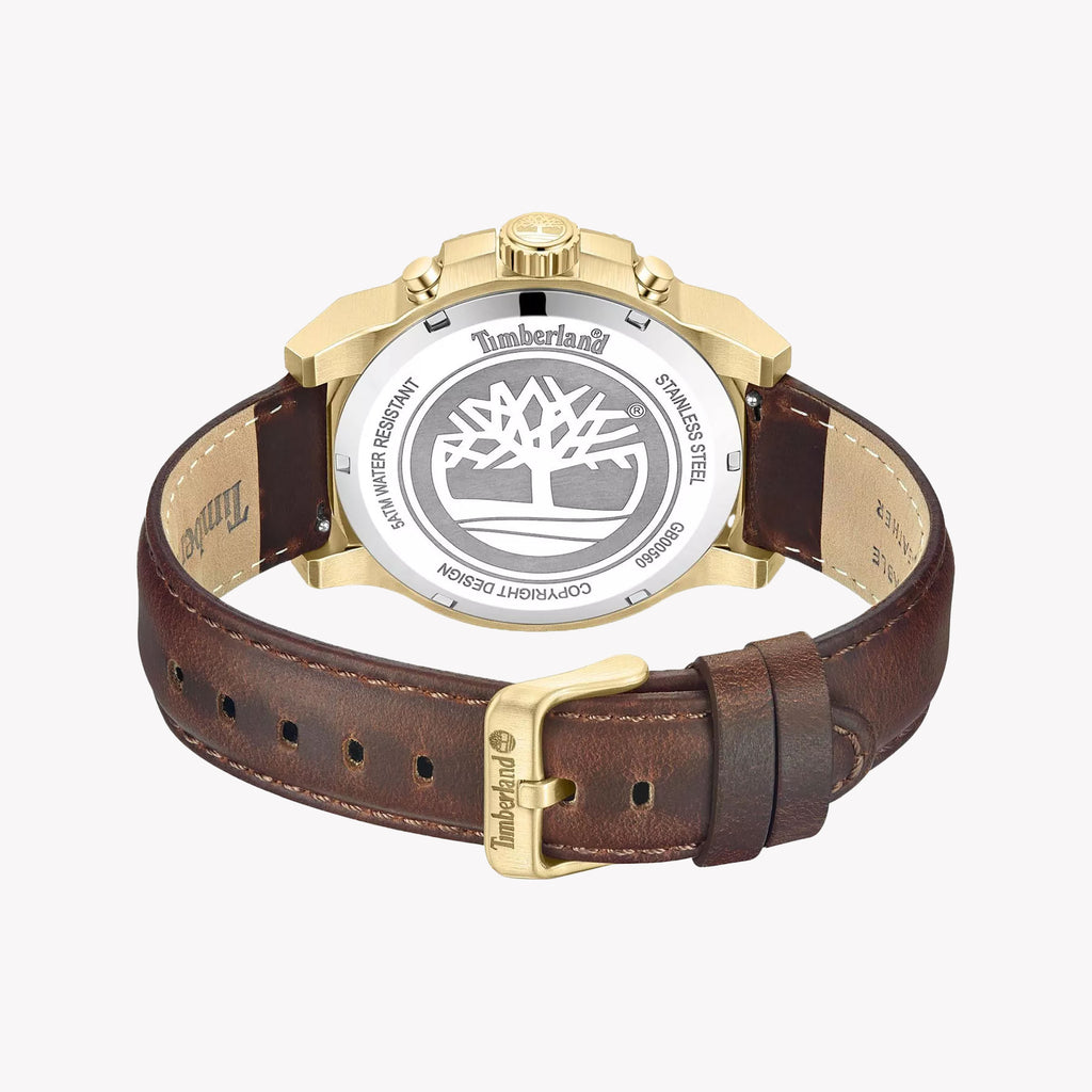Timberland Men's Gold Leather Multicolor Watch Tdwgb0056002