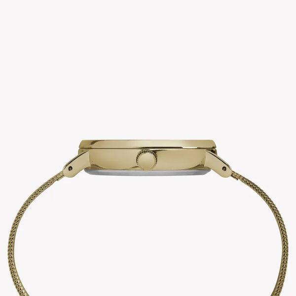 Timex Women's Gold Stainless Steel Watch, Off White Dial | Tw2r26500 by i-watch