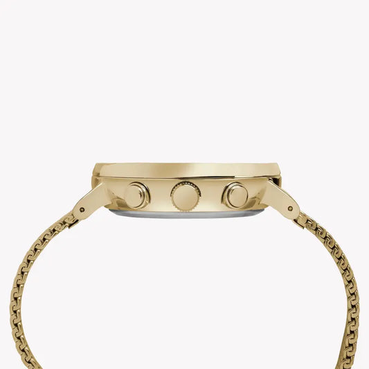 Timex Men's Gold Stainless Steel Watch, White Dial | Tw2r27200