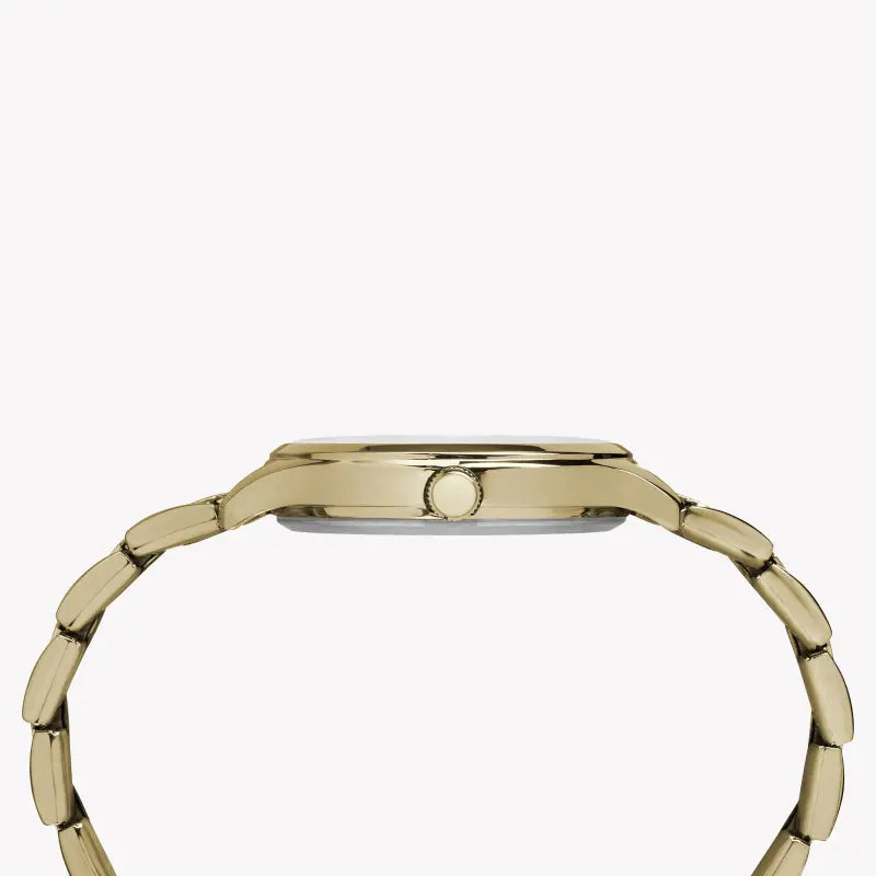 TIMEX Damenuhr mit goldenem Messinggehäuse und goldenem Edelstahlband