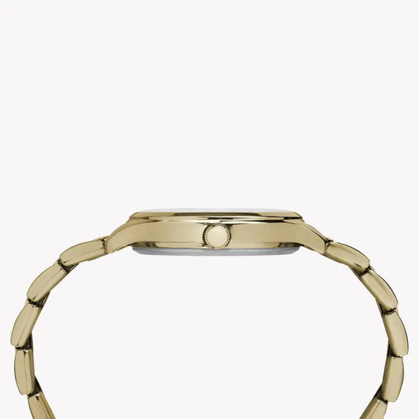 Timex Women's Gold Watch, Brass Case & Stainless Steel Band | Tw2r28100 by i-watch