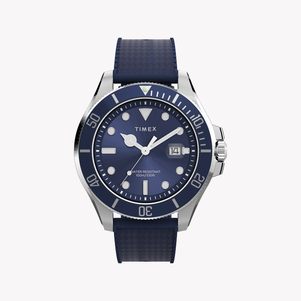 Timex Men's Silver/Blue Watch | Tw2y05000