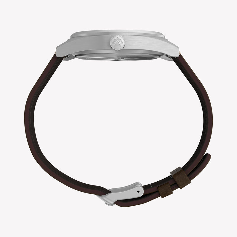 Timex Men's Silver-Tone, Brown Watch | TW2Y30600