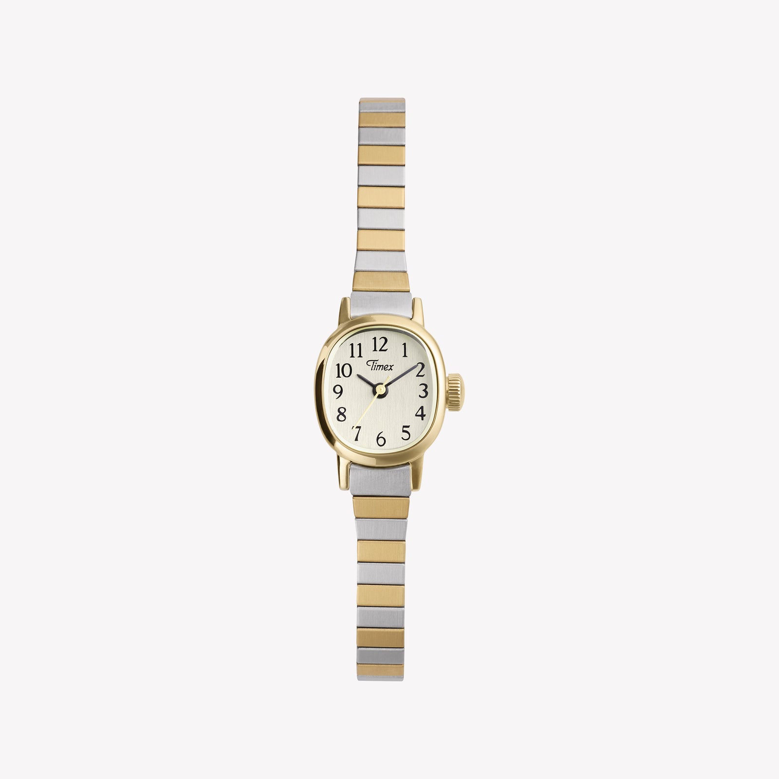 TIMEX Women's Two-Tone Stainless Steel, Gold-Tone | TW2Y66900