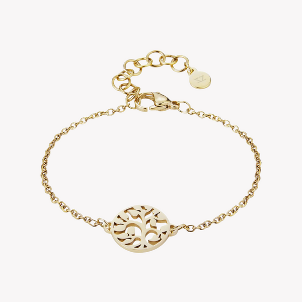 Zink Women's Gold Stainless Steel Bracelet | Zfbr010g by i-watch