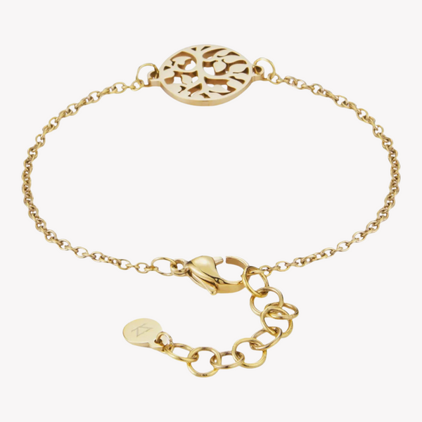 Zink Women's Gold Stainless Steel Bracelet | Zfbr010g by i-watch