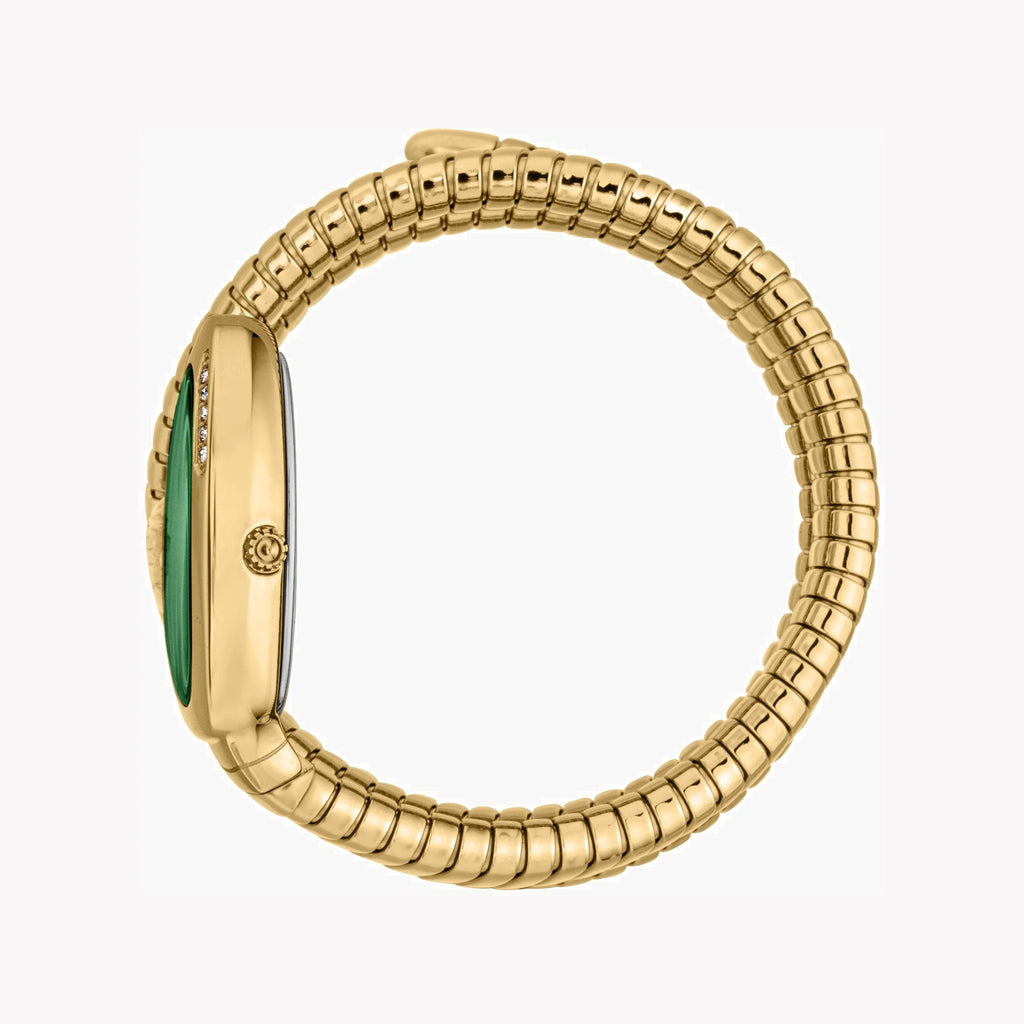 JUST CAVALLI Women's Watch with Gold Stainless Steel Case and Gold Stainless Steel Band-i-Watch-2