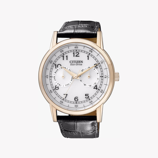 Citizen Ao9003-16a Eco-Drive - Modern Luxury Men's Watch With Gold Case & Black Leather Band by i-watch