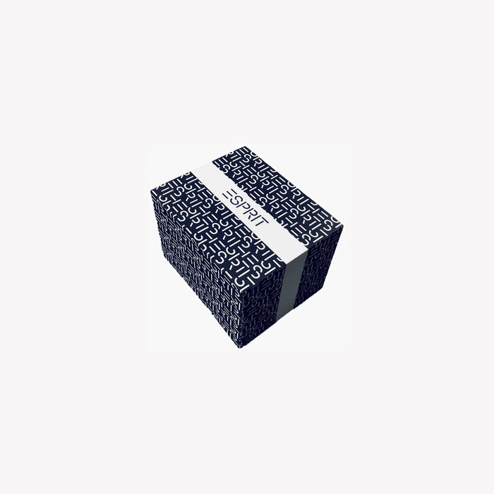 Esprit Men's Silver Stainless Steel Watch, Silver Dial | Es1g052m0045