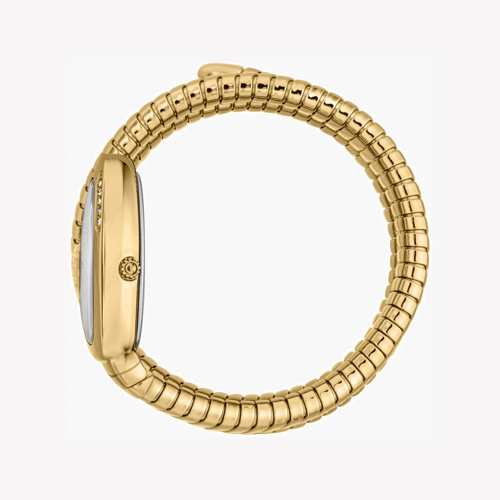 JUST CAVALLI Women's Watch with Gold Stainless Steel Case and Gold Stainless Steel Band-i-Watch-2