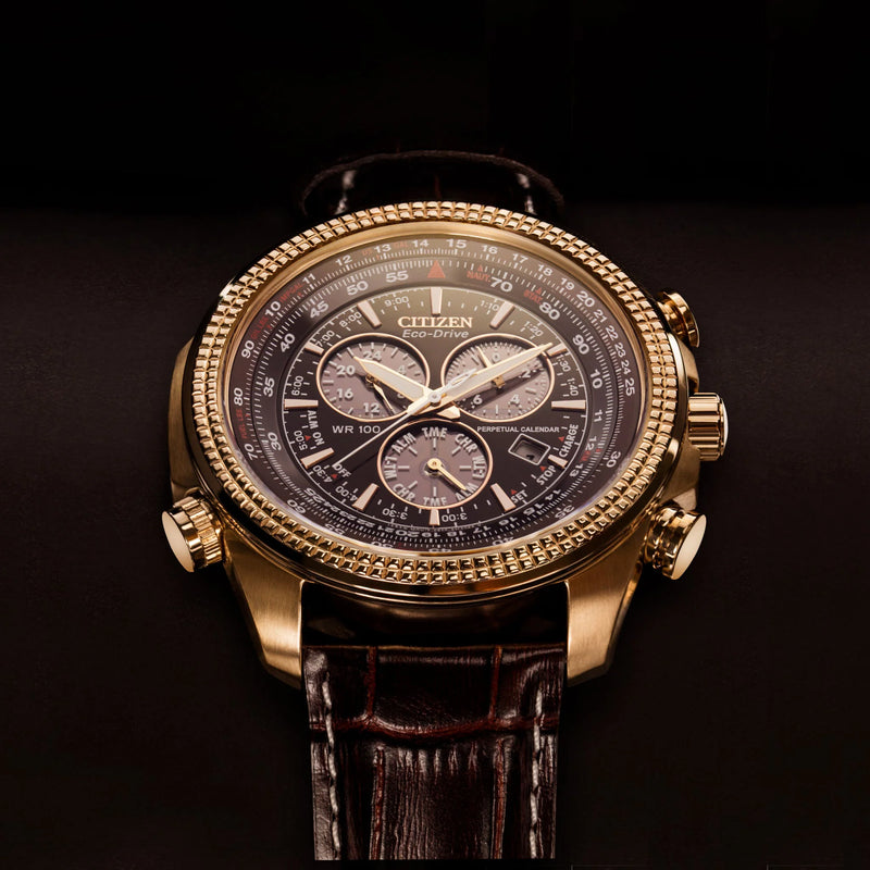 Citizen Men's Gold Stainless Steel, Brown Leather | Bl5403-03x by i-watch