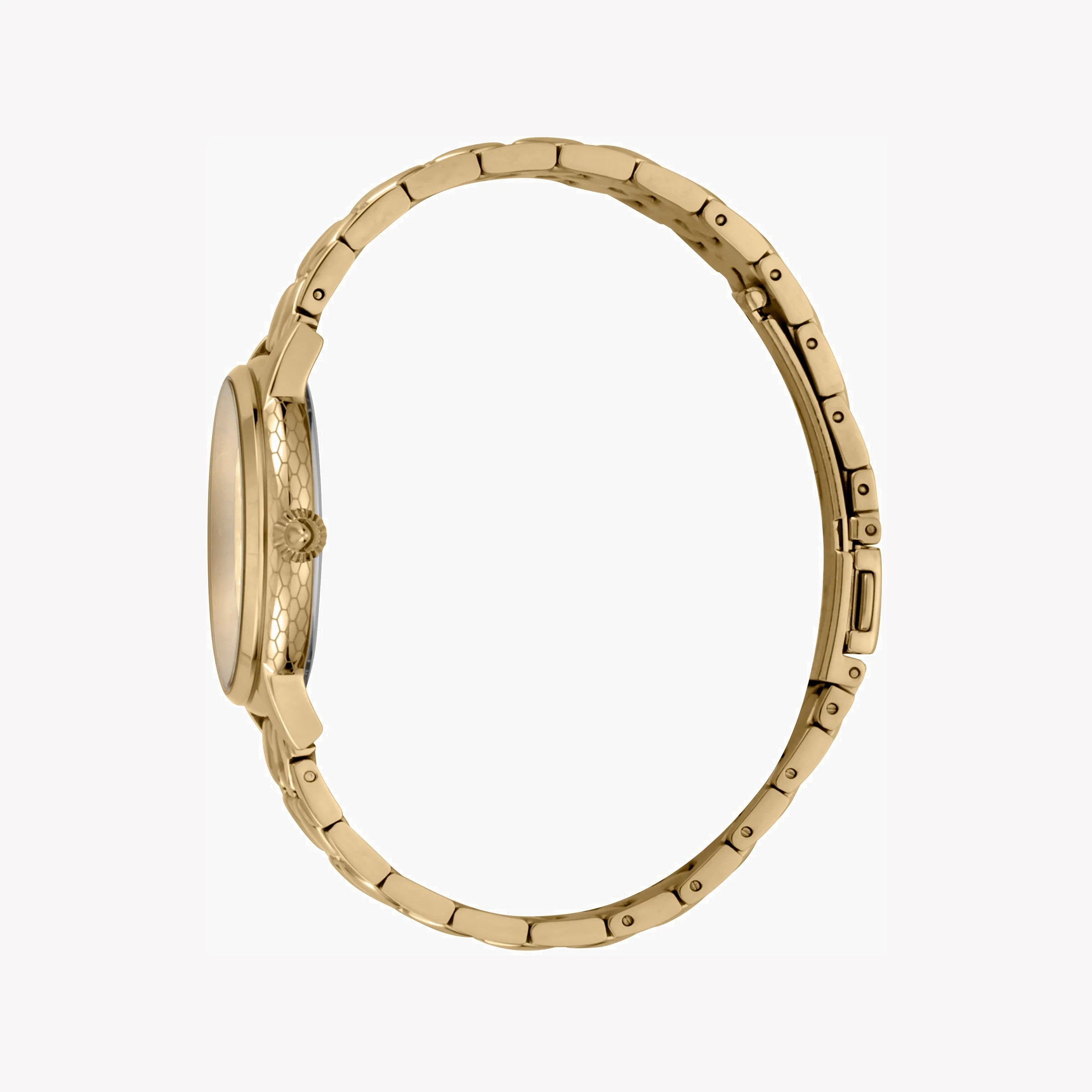 JUST CAVALLI Women's Watch with Gold Stainless Steel Case and Gold Stainless Steel Band