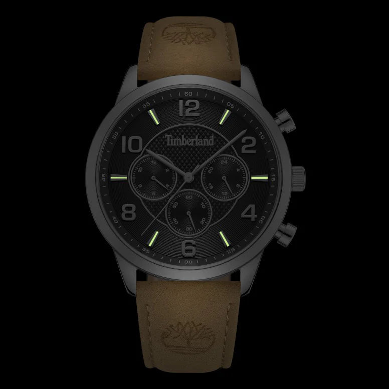 Timberland Men's Silver Stainless Steel Watch, Brown Leather | Tdwgf0042102 by i-watch