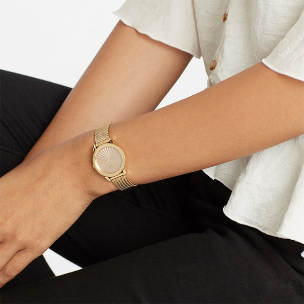 Pierre Cardin Women's Watch With Gold Stainless Steel Case And Gold Stainless Steel Band by i-watch