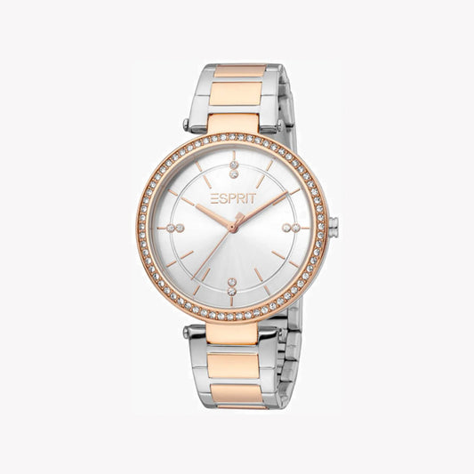 Esprit Stainless Steel Analog Women's Watch ES1L310M0105