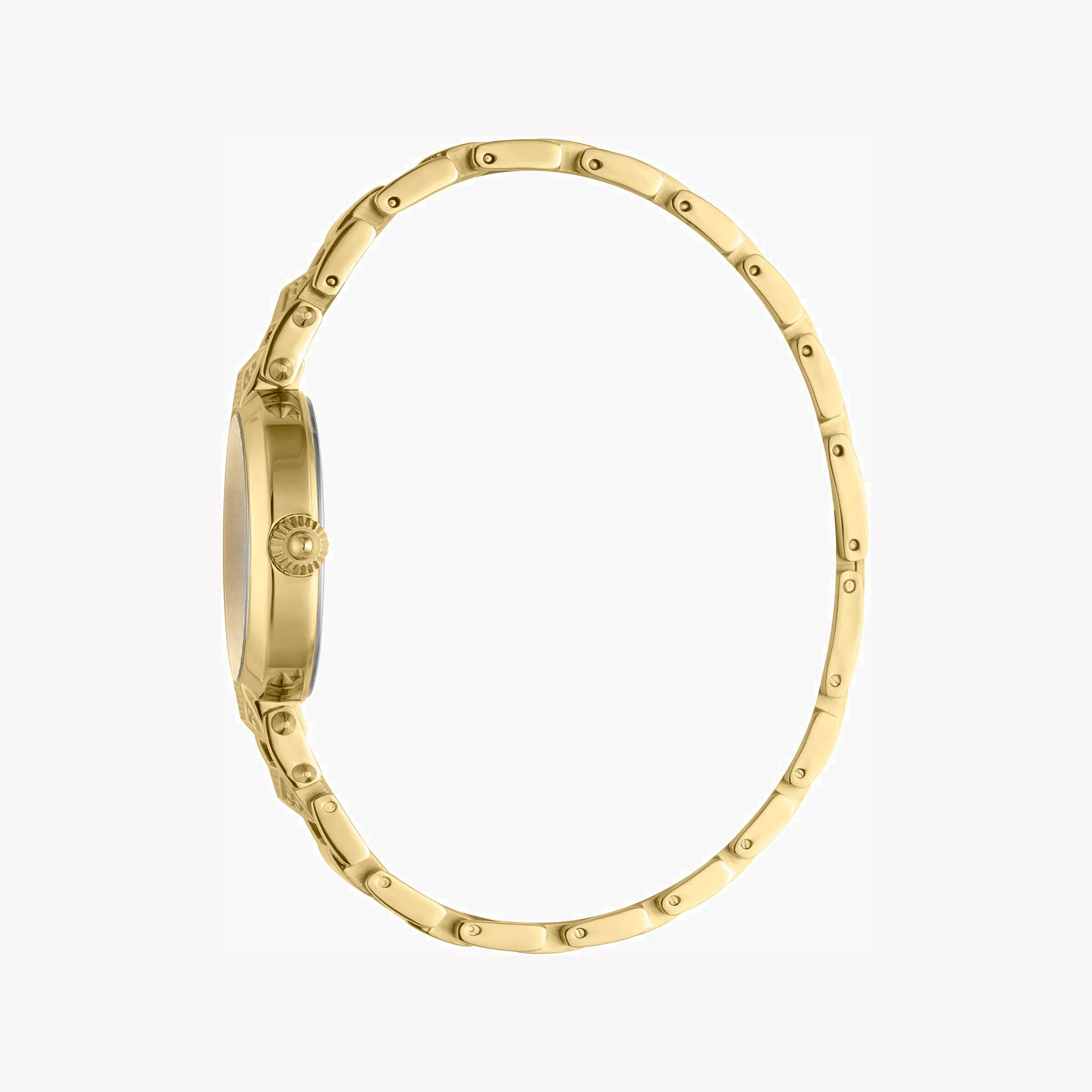 JUST CAVALLI Women's Watch with Gold Stainless Steel Case and Gold Stainless Steel Band