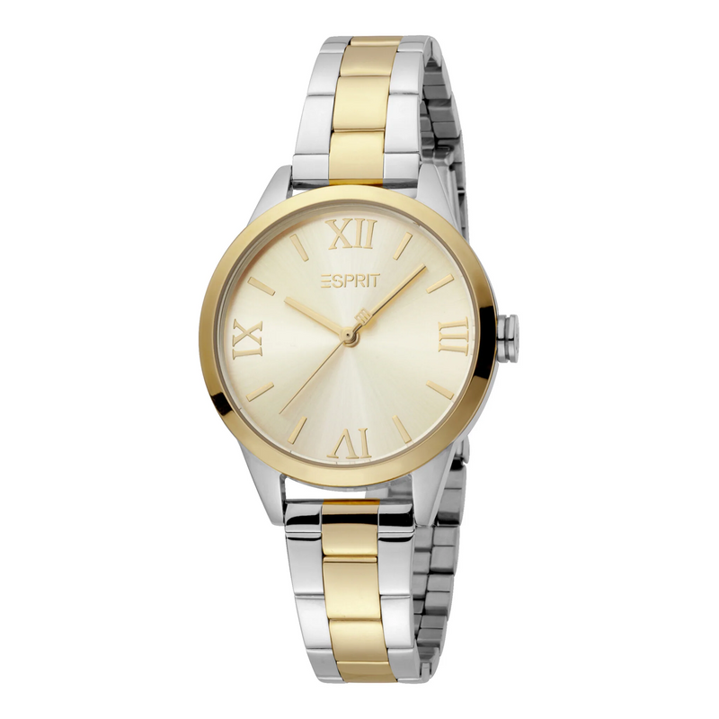 Esprit Women's Watch With Silver Stainless Steel Case And Silver & Gold Stainless Steel Band by i-watch