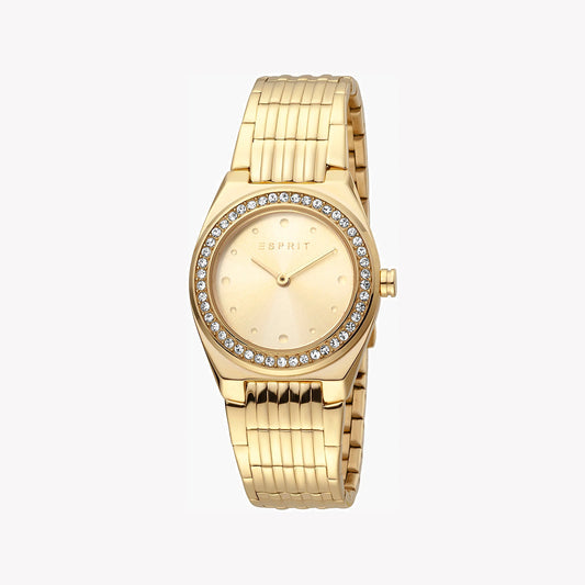 Esprit Stainless Steel Analog Women's Watch ES1L148M0065