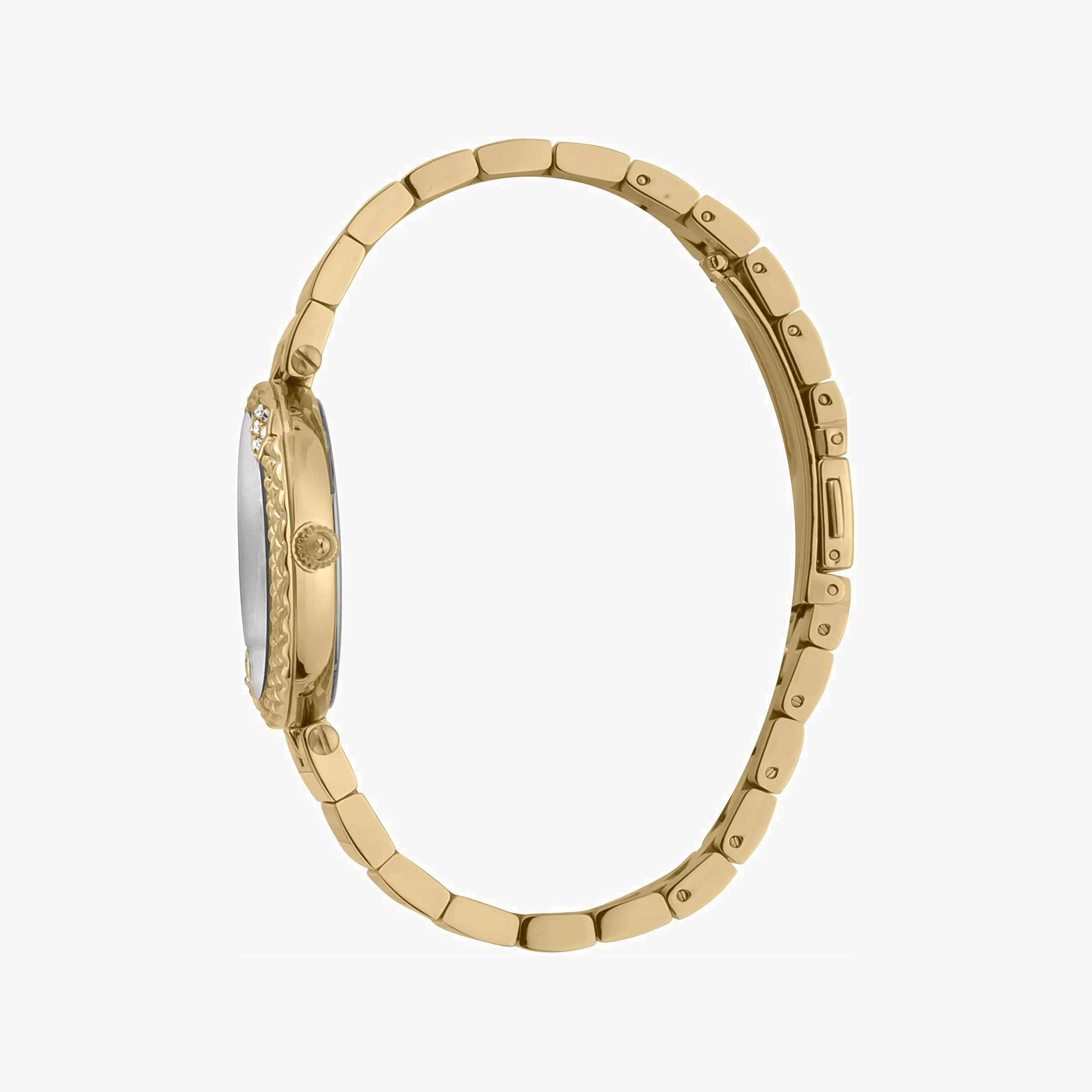 JUST CAVALLI Women's Watch with Gold Stainless Steel Case and Gold Stainless Steel Band