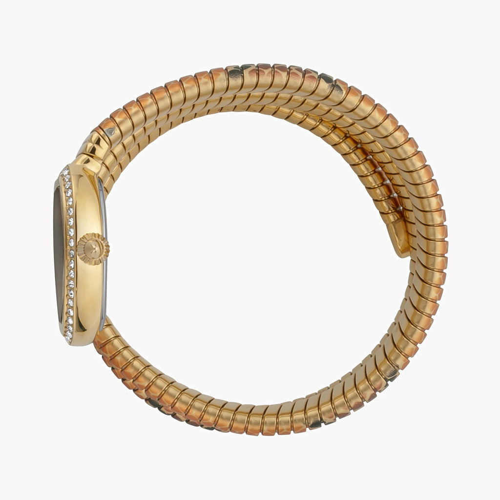 JUST CAVALLI Women's Watch with Gold Stainless Steel Case and Gold & Brown & Black Stainless Steel Band-i-Watch-2