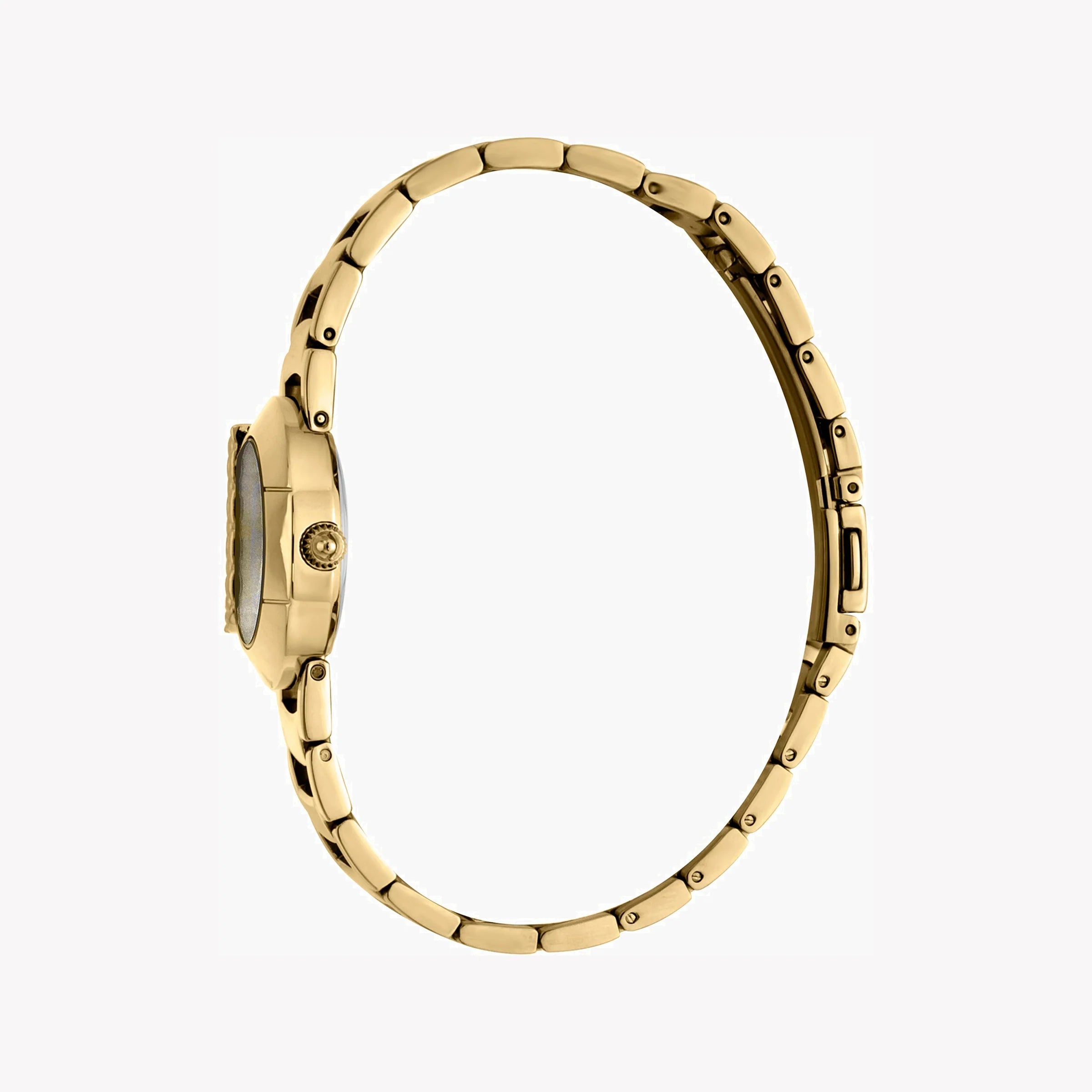 JUST CAVALLI Women's Watch with Gold Stainless Steel Case and Gold Stainless Steel Band