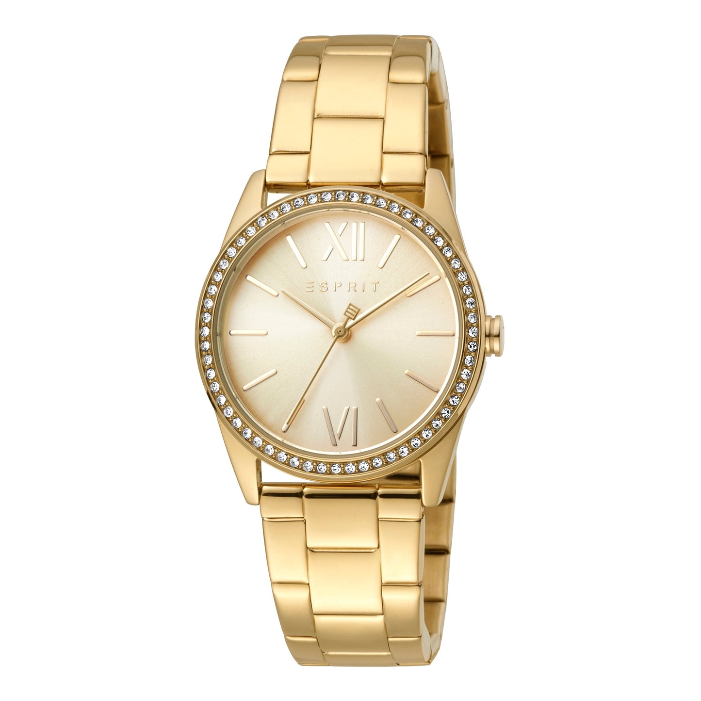 ES1L219M0065 ESPRIT Women's Watch