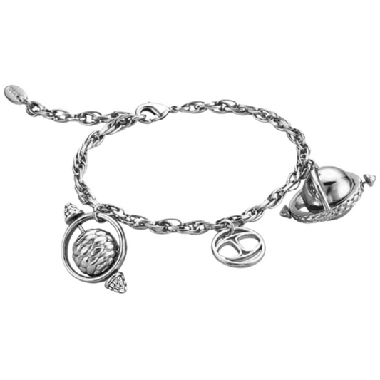 a silver bracelet with charms on it