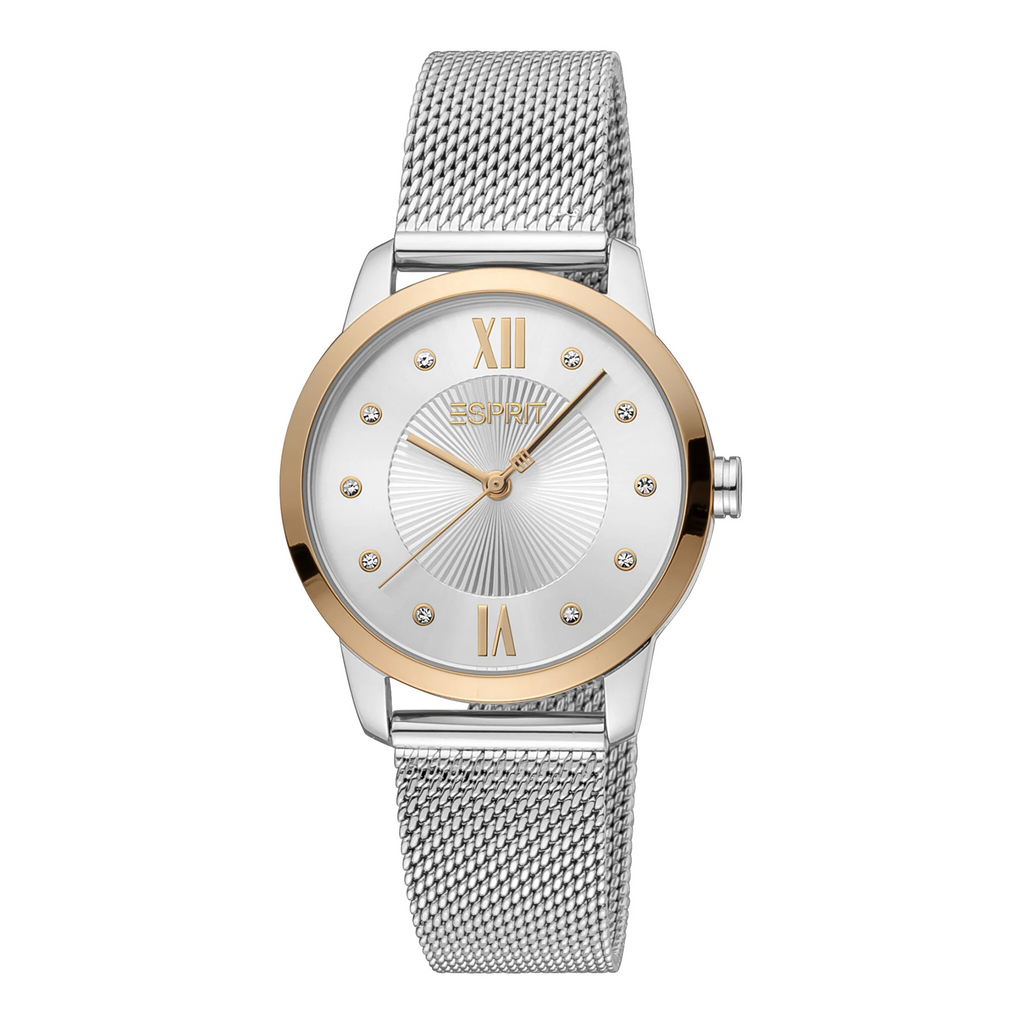 ESPRIT Women's Watch with Silver Stainless Steel Case and Silver Stainless Steel Band