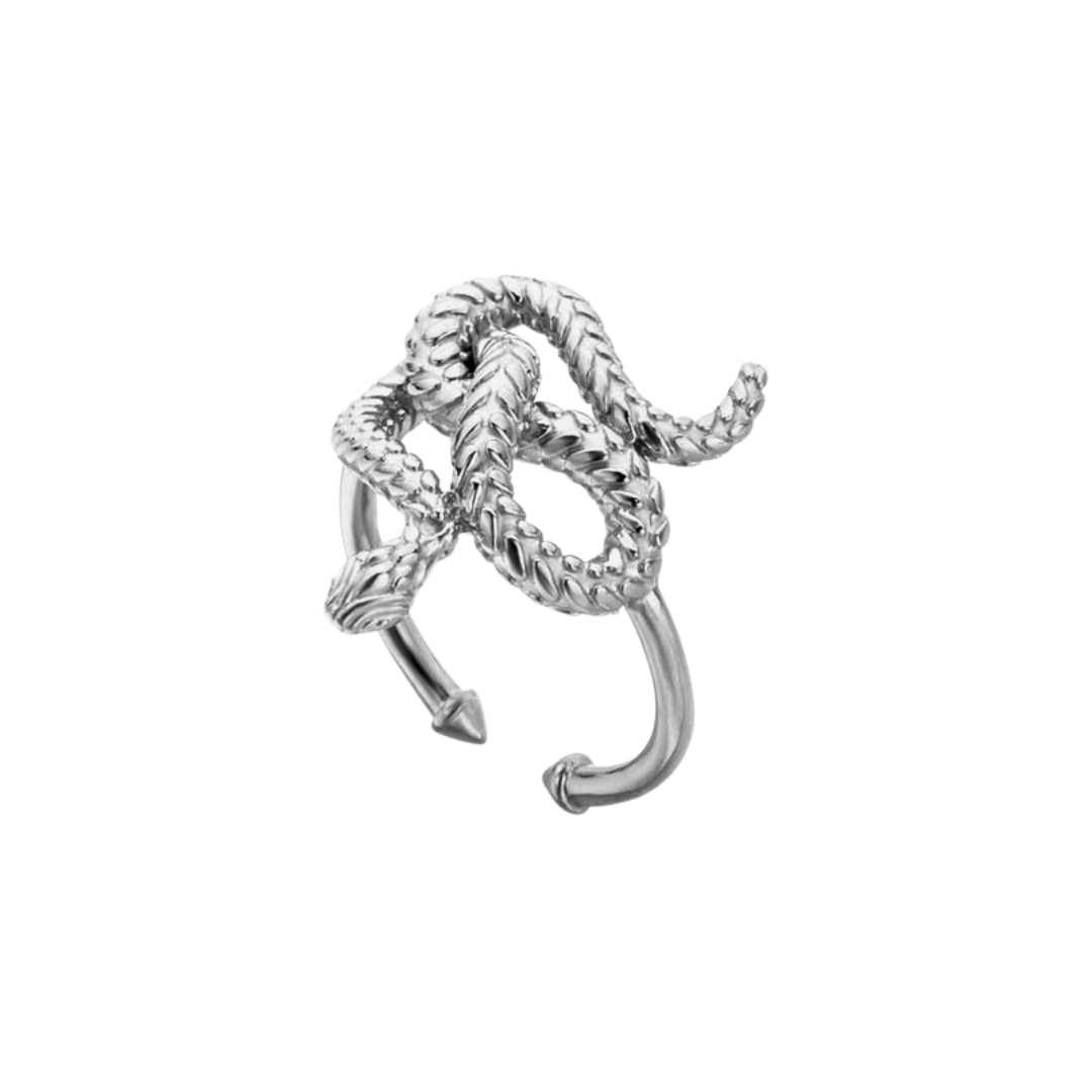 a silver ring with a snake on it